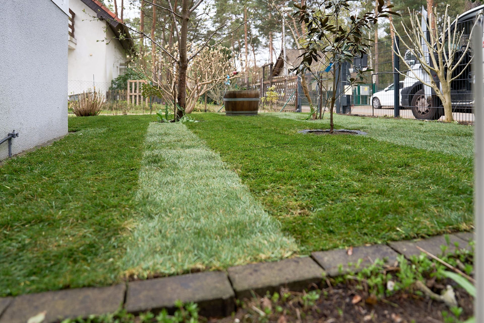 Frisch verlegter Rollrasen in einem Privatgarten in Berlin