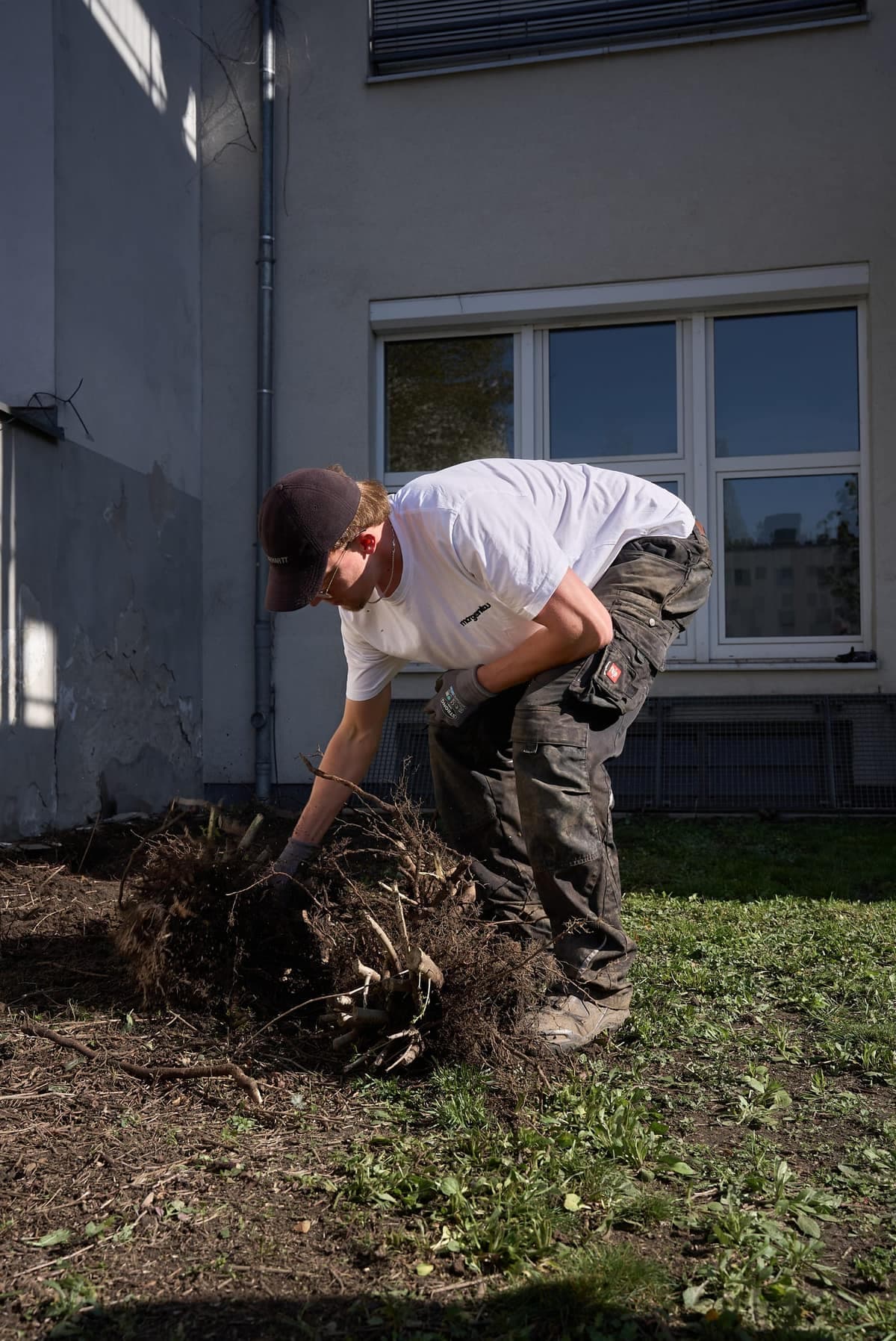 Morgentau-Mitarbeiter entfernt alten Rasen samt Wurzelwerk vom Boden